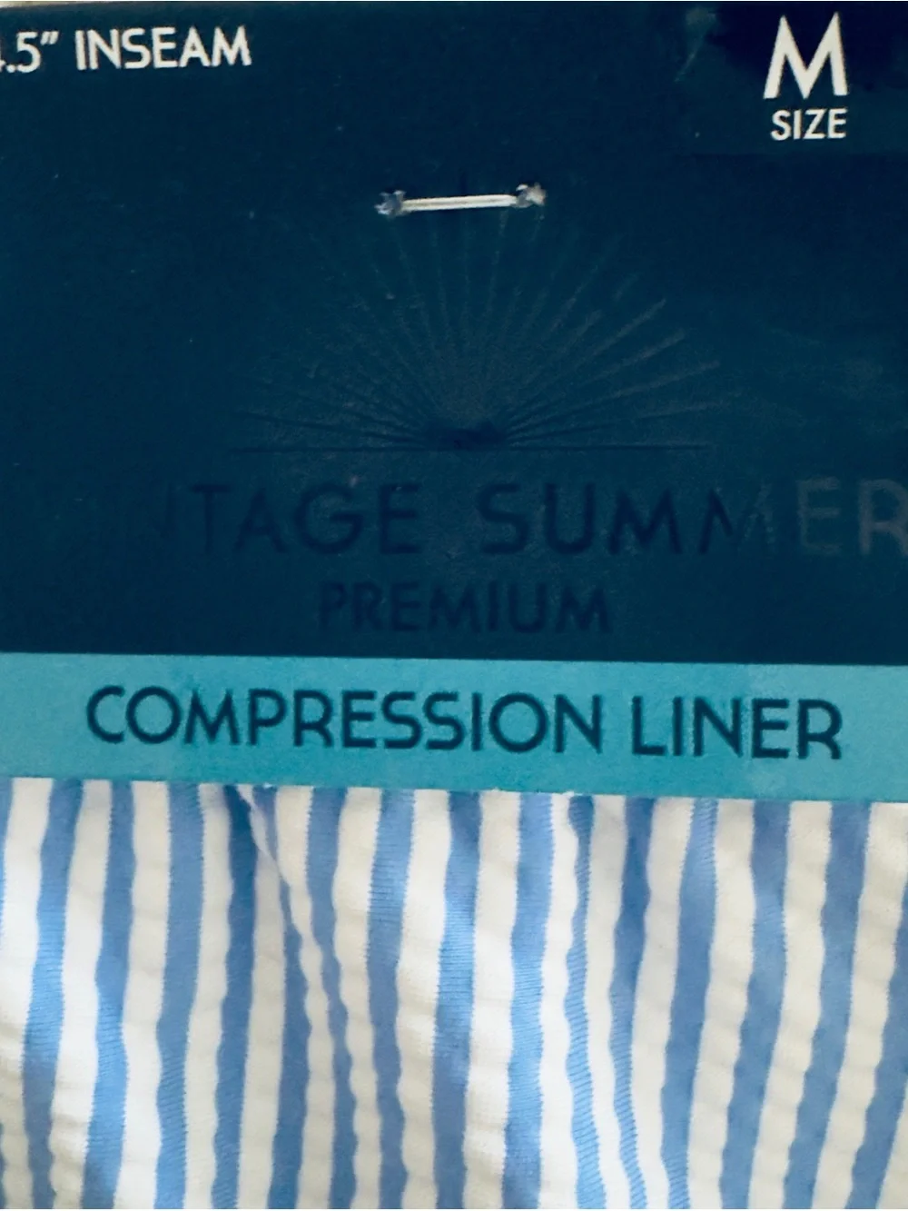 Vintage Summer Men’s Light Blue Striped Swim Trunks